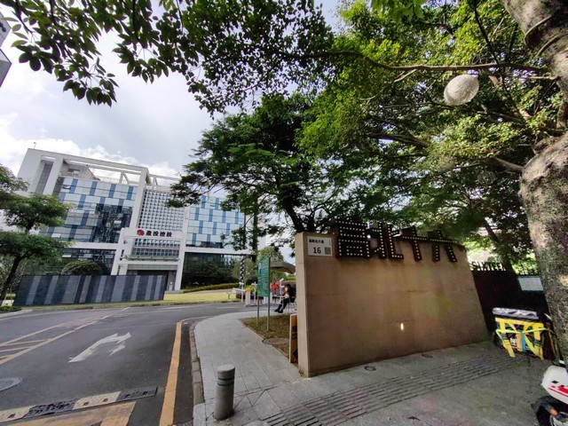 梁溪区新款绿植租赁价位